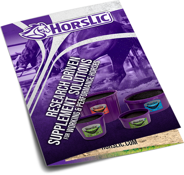 Horslic New Generation Supplements